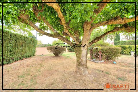 photo no. 14