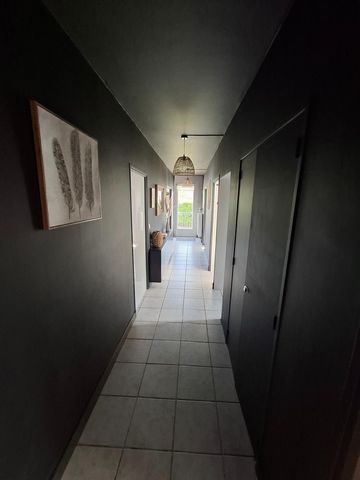 photo no. 10