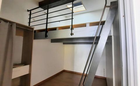 photo no. 7