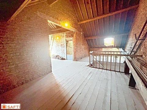 photo no. 11