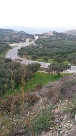 Etia Terreno edificabile di 7000m2 con 90 ulivi. È in Etia vicino ad Armeni. Ha un buon accesso e gode di una vista sulle montagne e sull'Etia e dista solo 15 km dal mare.