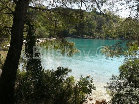 Stari Grad, Zavala bay, agricultural land and forest, first row to the sea of approximately 20500 m2. The land is only 100 m away from the construction zone.It is possible to buy adjacent land of similar area.www.biliskov.com ID 9416 -1
