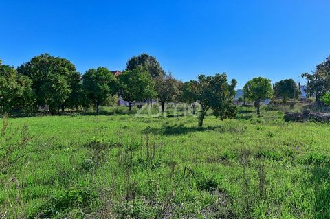 Identificação do imóvel: ZMPT548948 Mixed plot of land with 9.000 m2 in the centre of Aveiras de Cima with constructive capacity. The plot is adjacent to the largest municipal car park in the town centre. Ideal location to build a residential develop...
