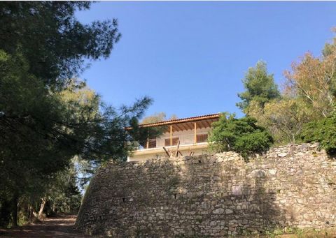 For sale a residential complex on a plot of 8,300 sq.m., which consists of four holiday houses, built amphitheatrically in dense vegetation consisting of eucalyptus and pine trees. The 2 houses are 65 sq.m. and the other 2 – 55 sq.m. Each house has 2...