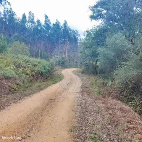 Come visit this rustic land in the village of Sabacheira with 5400m2, being, according to the current PDM agricultural space. No construction allowed. Great view with some trees and bush. The village is located between Tomar and Ourém, cities divided...