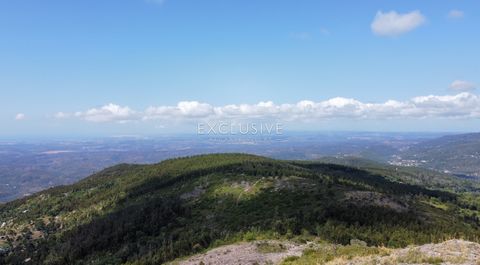 This property is synonymous of exclusivity and privacy. Situated on the top of the Picota Mountain at an altitude of 750m above sea level, located in the Algarve, Monchique. Consists of 11 hectares of land and ruins, facing south. The property has st...