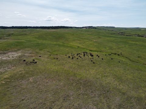 Presenting Station Gulch Ranches. 35 and 40 acre parcels with adjoining electric service and road access. Favorable owner carry terms! Located just minutes east of Kiowa, Colorado. Now offering lots 27-30 at extremely discounted prices at $149,900Lan...