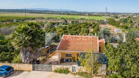 Eine wunderschöne Villa in einer ländlichen und ruhigen Gegend, nur 3 Autominuten vom Golfplatz Amendoeiras und nur 5 Autominuten vom schönen und traditionellen Algarve-Dorf Porches entfernt, wo Sie das bekannte Restaurant Vila Vita Biergarten und Ka...