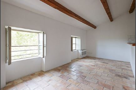 photo no. 11