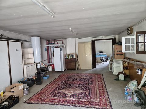 photo no. 12
