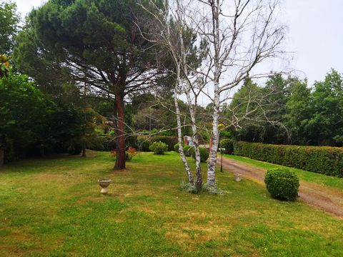 photo no. 2