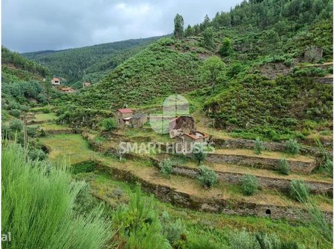 Fattoria con terreno di 29.013m2 situata vicino al villaggio di Benfeita. Ha pozzi d'acqua di buona qualità e diverse terrazze di terreno fertile. Dispone di 1 fabbricato con 2 corpi destinati ad abitazione costruito in pietra tradizionale a 2 piani ...