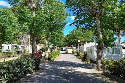 Les Jardins d'Agathe ist ein wunderschöner, kleiner Campingplatz mit einer Badelandschaft von 650 qm mit 35-Meter-Rutsche und einem großen Schwimmbecken von 152 qm . Eine (Snack-)Bar, Kinderspielplatz, Bouleplatz und kleiner Fitnessparkur runden das ...