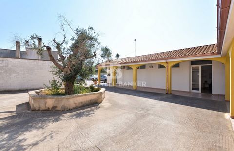 PUGLIA - SALENTO - CARPIGNANO SALENTINO In Carpignano Salentino, in the heart of Grecìa Salentina, we offer for sale a commercial space of approximately 65 m2. The property consists of a room and a bathroom and is currently used as a medical office. ...