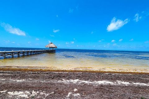 Beautiful Beachfront property only a short distance from the Secret Beach Road. Services to the area include electricity, cable TV, high speed Internet and phone service.  There are several resorts and rental homes within walking distance as well as ...