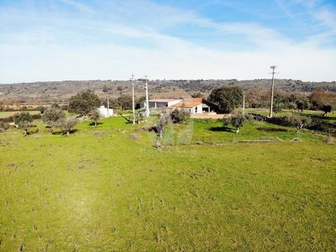 Boerderij in een zeer rustige omgeving, in de rust van de natuur. Het pand heeft een totale oppervlakte van 18.500 m2. Boerderij met overvloedig water, afkomstig van twee dammen en twee putten. Er is een ondergrondse verbinding van de put naar de dam...