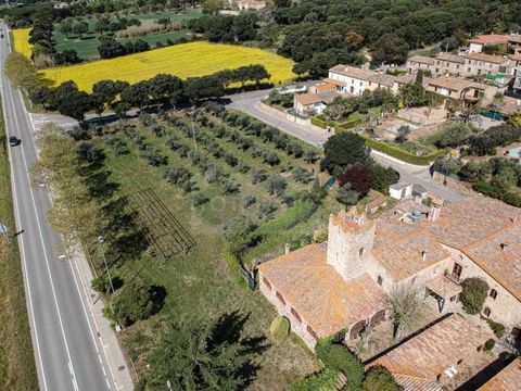 Attention, restorers! For sale a fortified farmhouse in the center of Baix Empordà, listed as a historical monument and built in 1384. This property is the ideal place to create a dream restaurant, with gardens and views open to nature, as well as be...