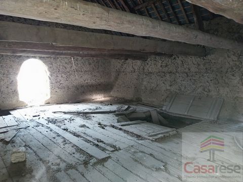 photo no. 5