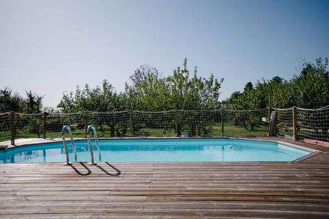 photo no. 23