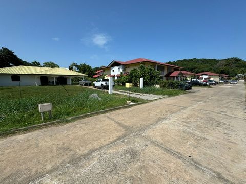 photo no. 2