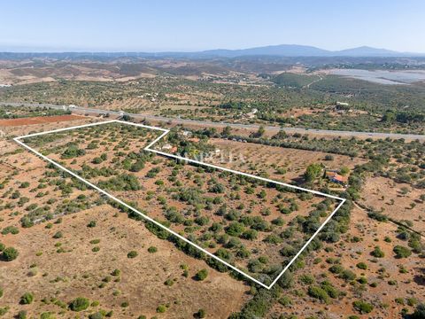 Een fantastisch perceel van 60.480 m2 met een geregistreerde ruïne, gelegen in het Colégio-gebied van Lagos. Ongeveer 15 minuten rijden van de stad Lagos, op een locatie met een prachtig uitzicht over het platteland met een bestaand bouwoppervlak van...