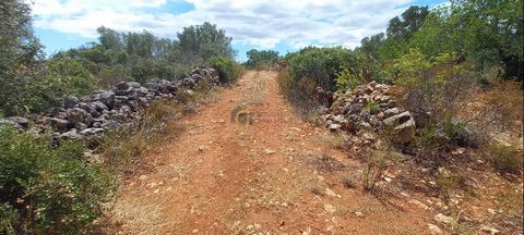 Terrain de 11720 m2, situé à Sesmarias, paroisse de São Bartolomeu de Messines, municipalité de Silves. Il dispose dun accès direct par voie publique. Il borde le terrain avec la référence NR126. Excellente opportunité.