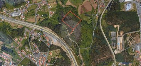 Excellent land located on Rua Alheira de Aquém, in Pedroso, with a total area of 3,200m². Located in a quiet area, being close to essential services, shops, schools and public transport. Don't miss this unique opportunity! Contact us for more informa...