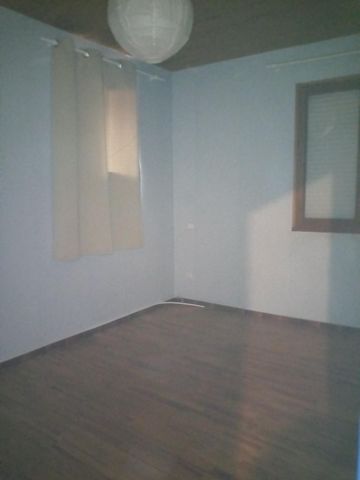 photo no. 5