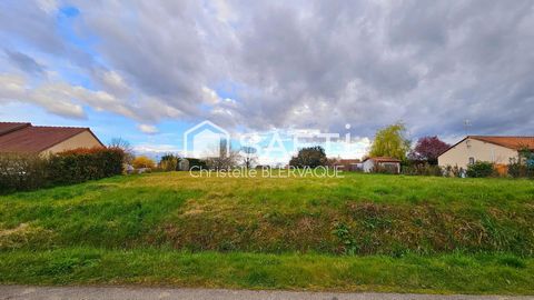 photo no. 1