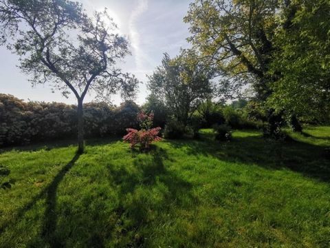 photo no. 10