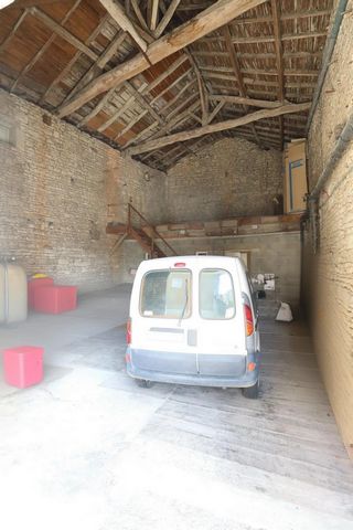 photo no. 10