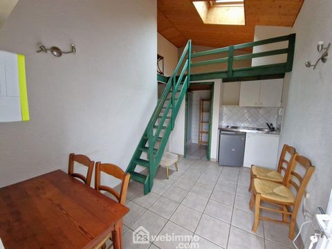 photo no. 13