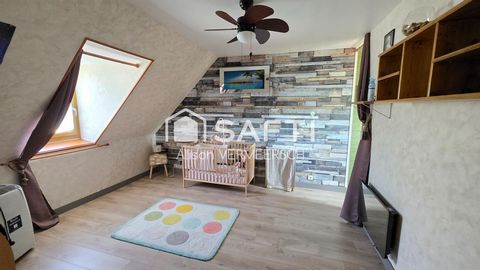 photo no. 16
