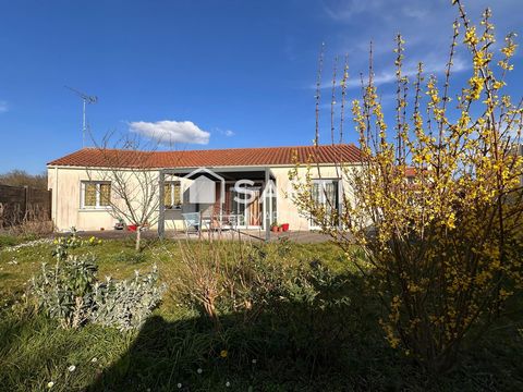 photo no. 10