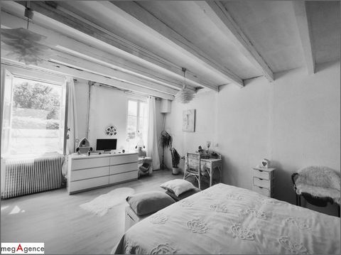 photo no. 5