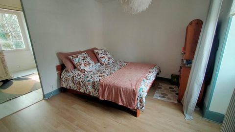photo no. 11