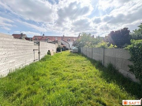 photo no. 9