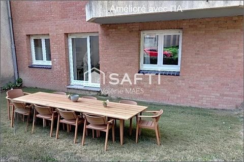 photo no. 7