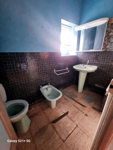 photo no. 12