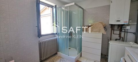 photo no. 12