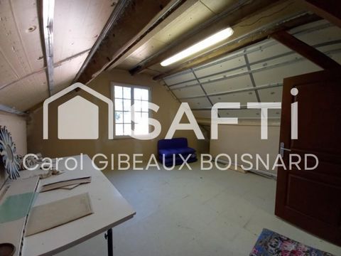 photo no. 12
