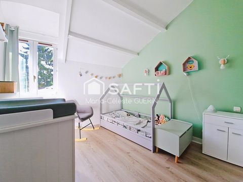 photo no. 7