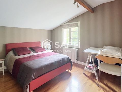 photo no. 11