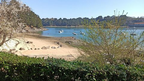 photo no. 12