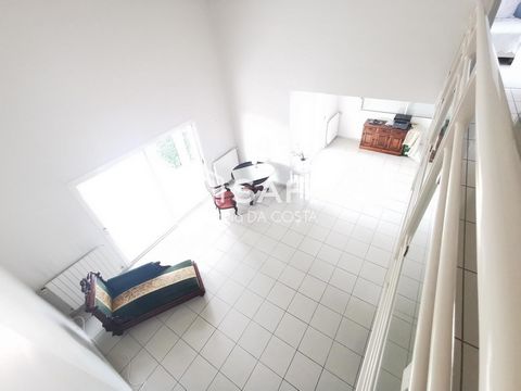 photo no. 13