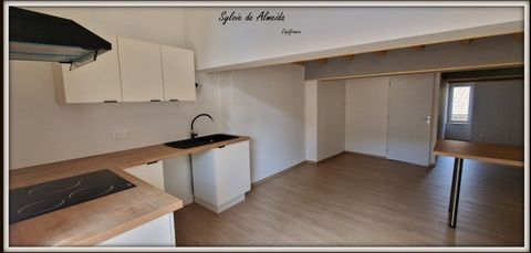 Appartement Duplex Rénové 2 chambres à vendre 3 pièces MACON (71)76 m²
