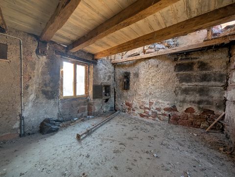 photo no. 6