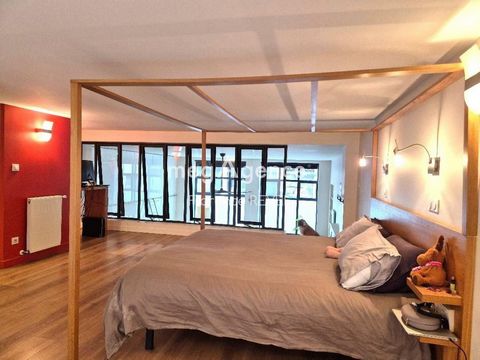 photo no. 13