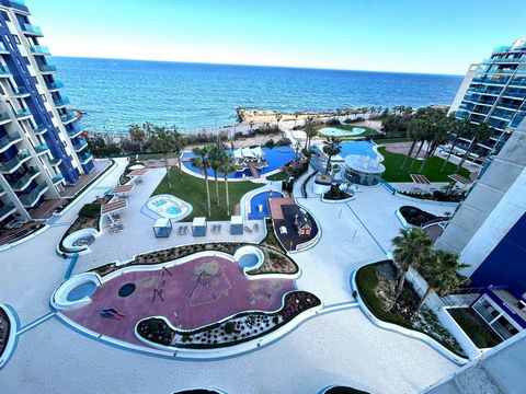 Presentamos este exclusivo apartamento ubicado en Sea Senses, una de las urbanizaciones más prestigiosas de Punta Prima, Torrevieja, reconocida por sus espectaculares vistas al mar y acceso directo a la playa. Terraza de 16 m² orientada al este, idea...