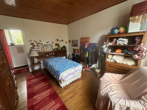 photo no. 7